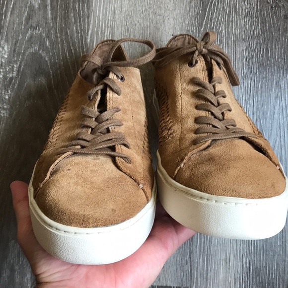 Toms - Picture 11 of 16